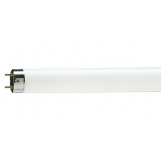 Лампа люминесцентная Philips T8 G13 36W 6500 1200x26 TL-D 36W/54-765